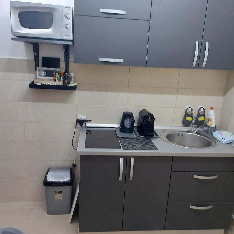 Apartman Pozoriste Penthaus 巴尼西卢卡 外观 照片