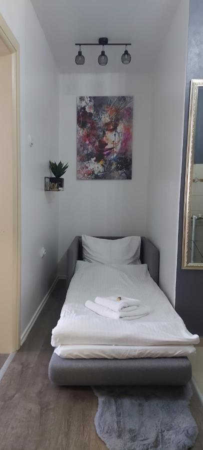 Apartman Pozoriste Penthaus 巴尼西卢卡 外观 照片